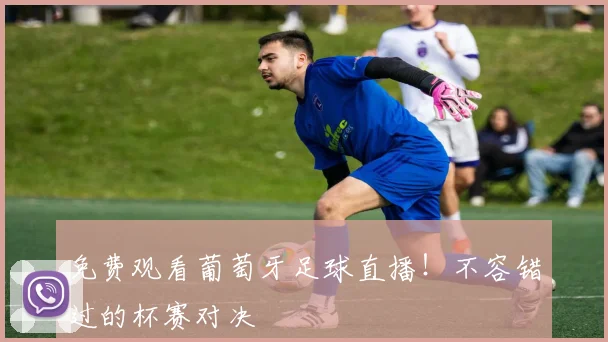 免费观看葡萄牙足球直播！不容错过的杯赛对决