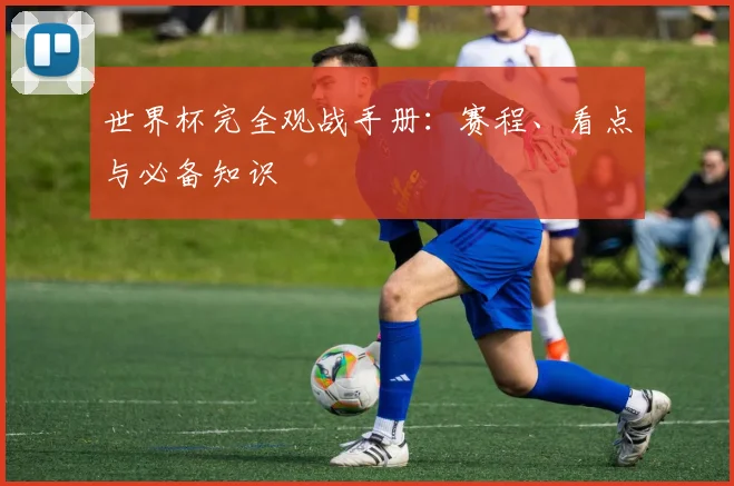 世界杯完全观战手册：赛程、看点与必备知识