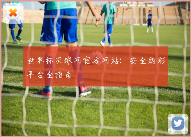 世界杯买球网官方网站：安全购彩平台全指南