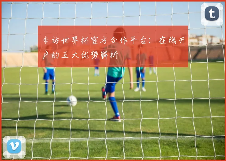 专访世界杯官方合作平台：在线开户的五大优势解析