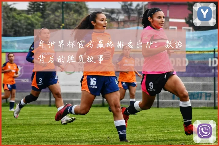 年世界杯官方最终排名出炉：数据背后的胜负故事