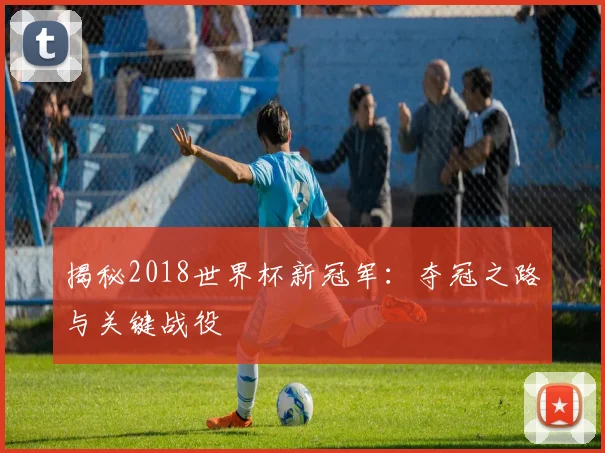 揭秘2018世界杯新冠军：夺冠之路与关键战役
