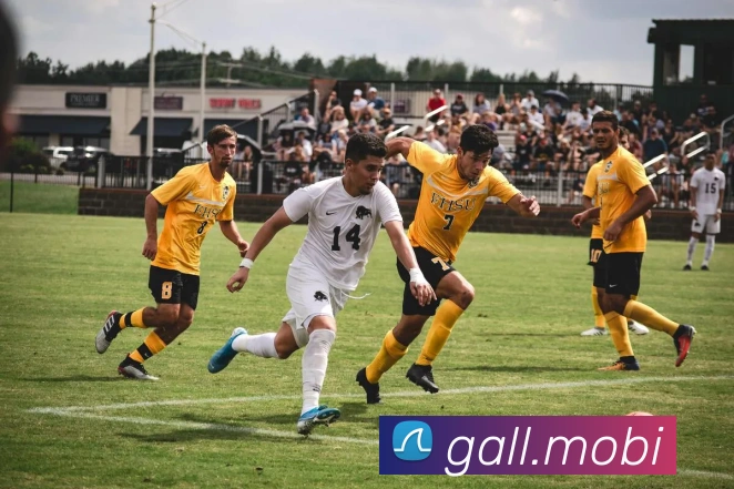 App Interface Preview