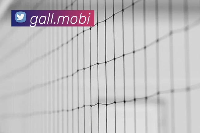 必一运动官网下载APP 封面图